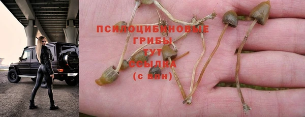 экстази Михайловск