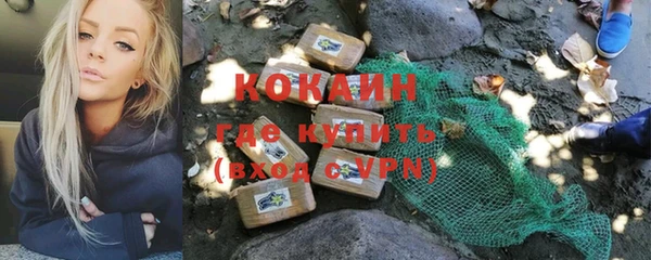 спиды Михайлов