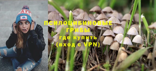 спиды Михайлов