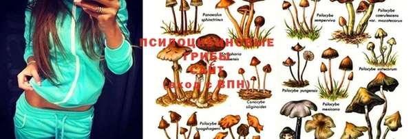молекула духа Михайловка