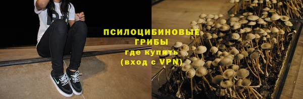 спиды Михайлов