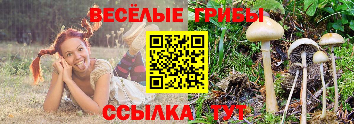 Тейково  Псилоцибиновые грибы мицелий  Вход с VPN 