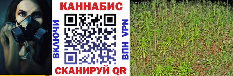 mega зеркало  Тейково  Каннабис планчик 